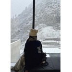 2025年10月13日入荷秋冬新作Louis Vuittonファッション/誕生日プレゼント/贈り物 can工場