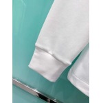 2025年10月14日入荷新作Dior長袖Tシャツ 高品質超厳選★入手困難/LD工場