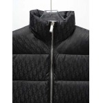 2025年10月20日秋冬入荷新作Diorダウンジャケット高品質 人気商品/HL工場