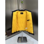 2025年10月22日秋冬入荷新作Fendiダウンジャケット高品質 人気商品/DD工場