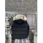 2025年10月27日秋冬新作Canada Gooseダウンジャケット高品質超厳選★入手困難/P5工場