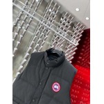 2025年10月27日秋冬新作Canada Gooseダウンジャケット高品質超厳選★入手困難/P5工場
