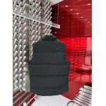 2025年10月27日秋冬新作Canada Gooseダウンジャケット高品質超厳選★入手困難/P5工場