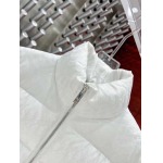 2025年10月27日秋冬新作Diorダウンジャケット高品質超厳選★入手困難/P5工場