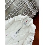 2025年10月27日秋冬新作Moncler ダウンジャケット高品質超厳選★入手困難/P5工場