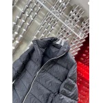 2025年10月27日秋冬新作Diorダウンジャケット高品質超厳選★入手困難/P5工場