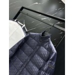 2025年10月27日秋冬新作Diorダウンジャケット高品質超厳選★入手困難/P5工場