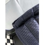 2025年10月27日秋冬新作Diorダウンジャケット高品質超厳選★入手困難/P5工場