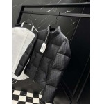 2025年10月27日秋冬新作Diorダウンジャケット高品質超厳選★入手困難/P5工場
