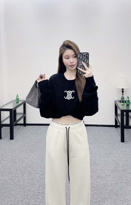 2025年11月18日入荷秋冬新作Alexander wangファッション/誕生日プレゼント/贈り物 can工場