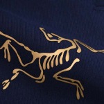 2025年11月12日秋冬新作ARCTERYXスラックス人気商品/LDF工場