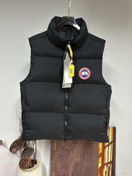 2025年11月17日秋冬新作Canada Gooseダウン...