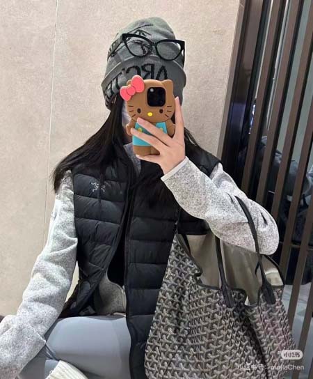 2025年11月18日入荷秋冬新作ARCTERYX ダウンベ...