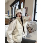 2025年11月23日入荷秋冬新作Celineダウンジャケットファッション/誕生日プレゼント/贈り物 can工場