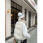 2025年11月23日入荷秋冬新作Celineダウンジャケットファッション/誕生日プレゼント/贈り物 can工場