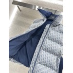 2025年11月23日入荷秋冬新作Diorダウンジャケットファッション/誕生日プレゼント/贈り物 can工場