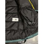 2025年12月1日秋冬新作ARCTERYXダウンジャケット高品質人気商品/LDF工場