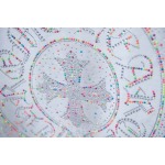 2025年12月24日入荷秋冬新作Chrome hearts半袖 tシャツ/XQY工場