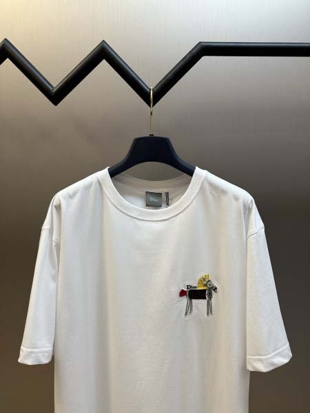 2026年1月19日新作Dior半袖 tシャツ高品質人気商品/誕生日プレゼント/FF工場