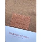 2026年1月13日新作高品質Louis VuittonバッグM25955/22 x 5 x 30/GQ工場