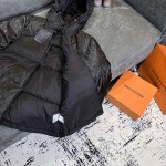 2026年1月20日新作Louis vuittonダウンジャケット高品質人気商品/誕生日プレゼント/FF工場