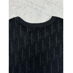 2026年1月21日新作Dior半袖 tシャツ高品質人気商品/誕生日プレゼント/FF工場