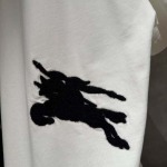 2026年1月27日新作Burberrytシャツ高品質人気商品/誕生日プレゼント/FF工場