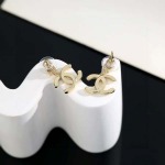 2026年2月2日入荷新品シャネルピアスギフト/誕生日/記念品/アクセサリーxin工場