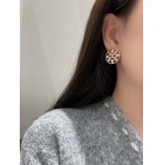 2026年2月2日入荷新品シャネルピアスギフト/誕生日/記念品/アクセサリーxin工場