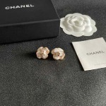 2026年2月2日入荷新品シャネルピアスギフト/誕生日/記念品/アクセサリーxin工場