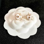 2026年2月2日入荷新品シャネルピアスギフト/誕生日/記念品/アクセサリーxin工場