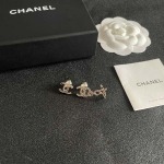 2026年2月2日入荷新品シャネルピアスギフト/誕生日/記念品/アクセサリーxin工場