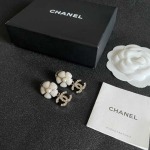 2026年2月2日入荷新品シャネルピアスギフト/誕生日/記念品/アクセサリーxin工場
