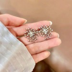 2026年2月2日入荷新品シャネルピアスギフト/誕生日/記念品/アクセサリーxin工場