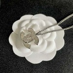 2026年2月2日入荷新品シャネルネックレスギフト/誕生日/記念品/アクセサリーxin工場
