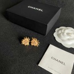 2026年2月2日入荷新品シャネルピアスギフト/誕生日/記念品/アクセサリーxin工場