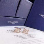 2026年2月3日入荷新品Balenciagaピアスギフト/誕生日/記念品/アクセサリーxin工場