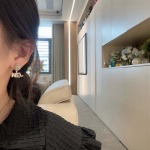 2026年2月3日入荷新品Chanelピアスギフト/誕生日/記念品/アクセサリーxin工場