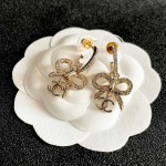 2026年2月3日入荷新品Chanelピアスギフト/誕生日/記念品/アクセサリーxin工場