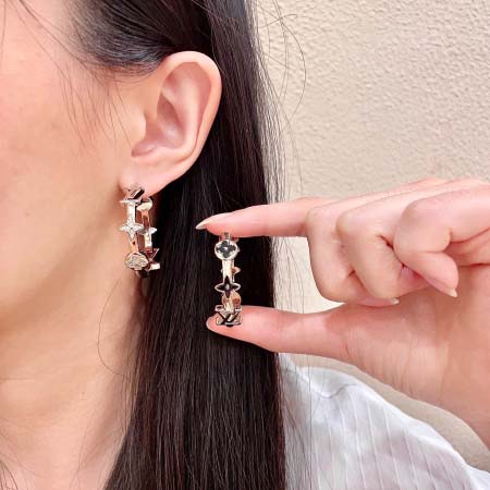 2026年2月3日入荷新品ルイヴィトンピアスギフト/誕生日/...