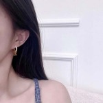 2026年2月3日入荷新品ルイヴィトンピアスギフト/誕生日/記念品/アクセサリーxin工場