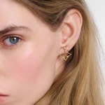 2026年2月3日入荷新品ルイヴィトンピアスギフト/誕生日/記念品/アクセサリーxin工場