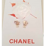 2026年2月4日入荷新品Chanelピアスギフト/誕生日/記念品/アクセサリーxin工場