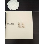 2026年2月4日入荷新品Chanelピアスギフト/誕生日/記念品/アクセサリーxin工場