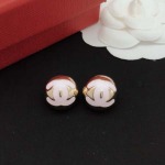 2026年2月4日入荷新品Chanelピアスギフト/誕生日/記念品/アクセサリーxin工場