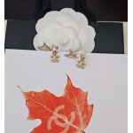 2026年2月4日入荷新品Chanelピアスギフト/誕生日/記念品/アクセサリーxin工場