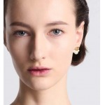 2026年2月5日入荷新品Diorピアスギフト/誕生日/記念品/アクセサリーxin工場