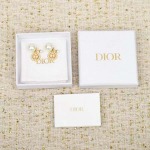 2026年2月5日入荷新品Diorピアスギフト/誕生日/記念品/アクセサリーxin工場