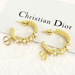 2026年2月5日入荷新品Diorピアスギフト/誕生日/記念品/アクセサリーxin工場