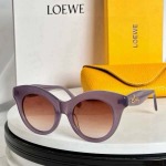 2026年2月19日新品LOEWE原版復刻サングラスギフト/誕生日/記念品/アクセサリーXY工場